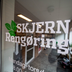 Skjern rengøringsmidler til hjemmet